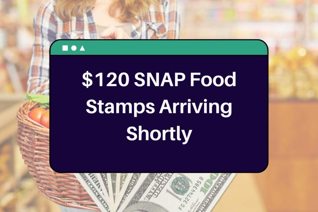 $120 SNAP Food Stamps Arriving Shortly: Who is Eligible & When Will You Receive this Payment?